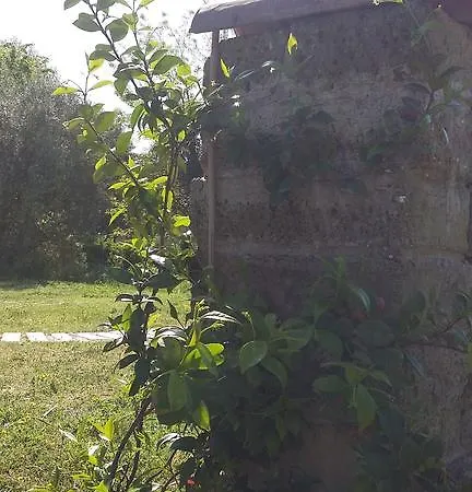 Colleroseto * Genazzano