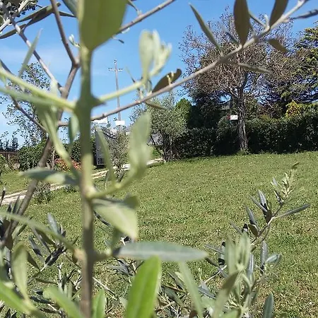 Colleroseto *