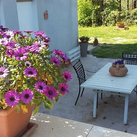 Bed & Breakfast Colleroseto *