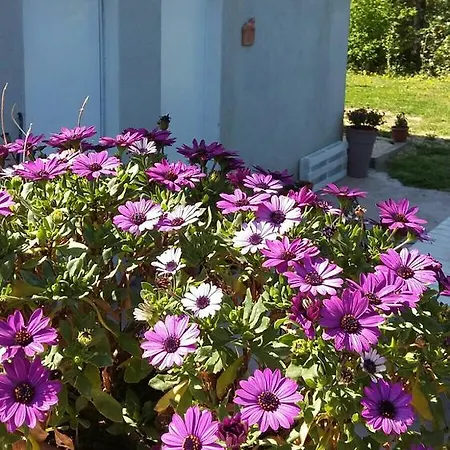 Colleroseto Bed & Breakfast
